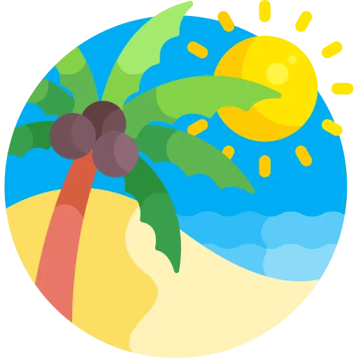 Summer Sale For Web Design Packages