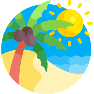 Summer Sale For Web Design Packages